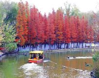 �����羰25