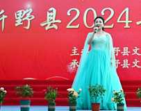 ӵ2024   29