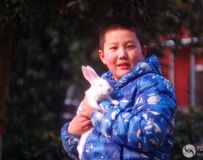 抱兔子的少年