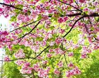 ��ů����