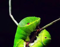 ���ٷ���׳�25.6