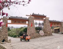 ʯͷ��Ĵ���