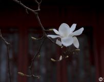 湬3