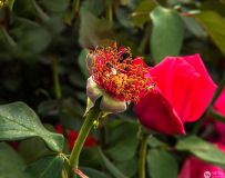 ����ȡ��