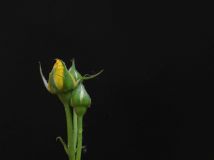 ſڵ¼2015.0501