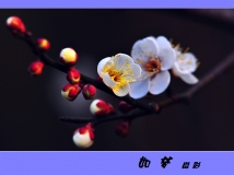 Ű÷