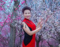 ����ӳ��Ӱ