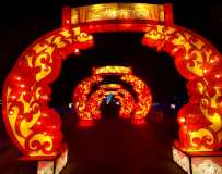南阳中国月季园灯展13