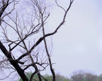 屺紺19