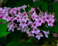 һ������