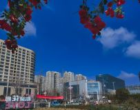 �� �� �� ��