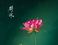 ɷ硾ƼÿͼƬѡ