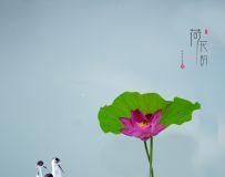 ɻ