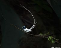 練
