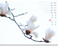 糤ѩ