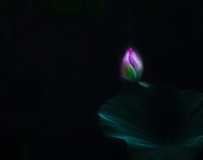 ĺ