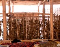 �������������������Ѹ�