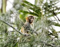 ����С�ڱ�