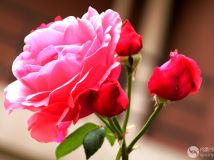 лʺ󡪡¼ʮ