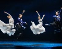 �衶�ɹ����衷