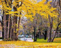 ���ֽ���