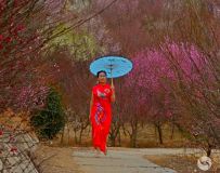 梅园习拍人物(4)