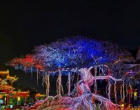 火树银花