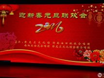 ӭ´2016Ԫ᡿