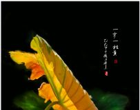 һһݻ(ֻӰ)