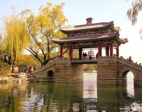 տú֮