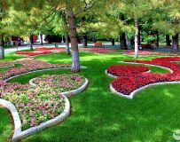 ԰Ӱ