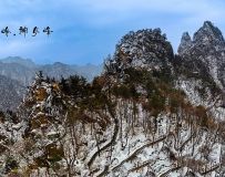 春雪老界