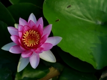 ˯ˣˮŮ