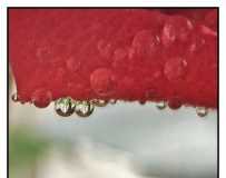 ˮӽ