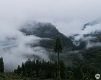 ϱɽ