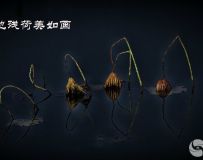 һزк续