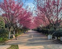 ÷ �� �� ��