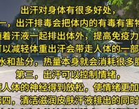ŴƤn弹