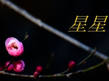 ÷09