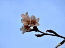 ӣҹ9