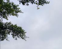 ɼȫò(ֻӰ)