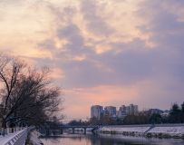 ѩ硷