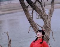 屺紺15