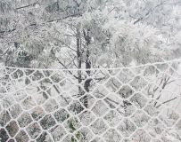 ѩѩ