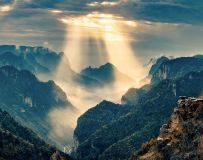 ��ç����