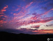 �������ơ�