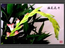 廨
