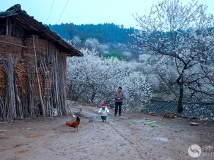 ֮
