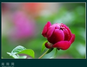 ҩ