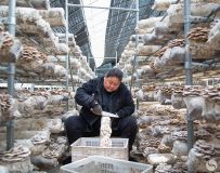 ������ֲϲ����գ�1��